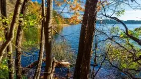 Piękna polska, mazurska złota jesień... rok temu - zdjęcie 24