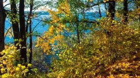 Jesień na mazurskich bezdrożach, 2019 - zdjęcie 20