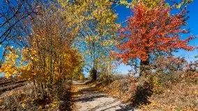 Jesień na mazurskich bezdrożach, 2019 - zdjęcie 15