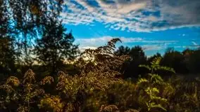 Zachód słońca widziany w zaroślach nad Niegocinem - zdjęcie 16