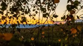 Wieczór i zachód słońca z mazurskiej drogi - zdjęcie 21