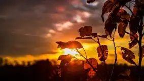 Zachód słońca nad mazurskimi polami, okolice wsi Sulimy - zdjęcie 16