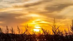 Wschód słońca, okolice i jezioro Kisajno, październik 2020 - zdjęcie 30