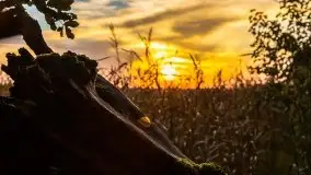 Wschód słońca, okolice i jezioro Kisajno, październik 2020 - zdjęcie 17