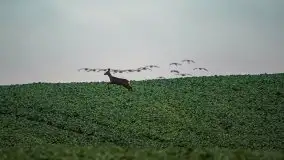 Jesień 2020 na zdjęciach Stanisława Sielewicza - zdjęcie 18