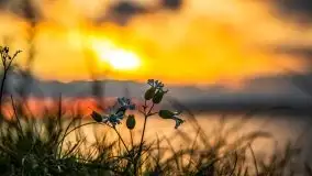 Zachód słońca nad jeziorem Kisajno - zdjęcie 20