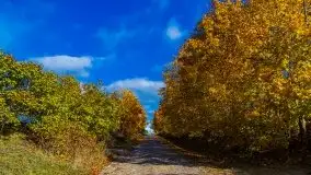 Mazurska jesień w okolicy Pieczarek i Przerwanek - zdjęcie 22