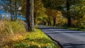 Mazurska jesień w okolicy Pieczarek i Przerwanek - zdjęcie 41