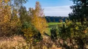 Jesienny, Mazurski las w okolicach Pieczarek - zdjęcie 46