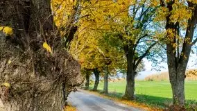 Mazury całe w barwach jesieni - zdjęcie 22