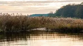 Mazury całe w barwach jesieni - zdjęcie 38