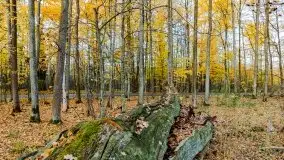 Mazury całe w barwach jesieni - zdjęcie 44