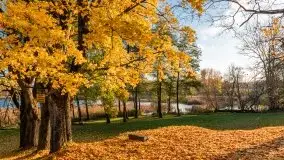 Jesiennie klimaty, Fuleda, Dziewiszewo, jezioro Dobskie - zdjęcie 30