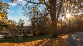 Jesiennie klimaty, Fuleda, Dziewiszewo, jezioro Dobskie - zdjęcie 1