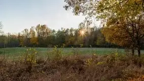 Jesiennie klimaty, Fuleda, Dziewiszewo, jezioro Dobskie - zdjęcie 41