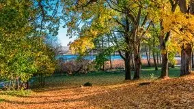 Jesiennie klimaty, Fuleda, Dziewiszewo, jezioro Dobskie - zdjęcie 46