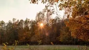 Jesiennie klimaty, Fuleda, Dziewiszewo, jezioro Dobskie - zdjęcie 45