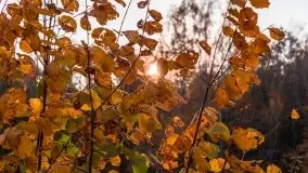 Jesiennie klimaty, Fuleda, Dziewiszewo, jezioro Dobskie - zdjęcie 26