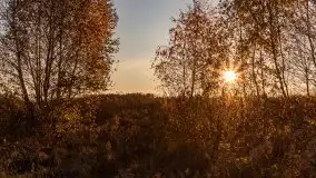 Jesiennie klimaty, Fuleda, Dziewiszewo, jezioro Dobskie - zdjęcie 36