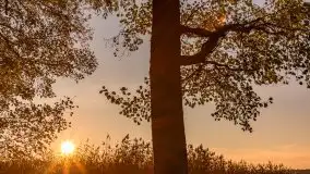 Zachód Słońca nad jeziorem Dobskim, listopad 2020 - zdjęcie 16