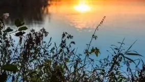 Zachód Słońca nad jeziorem Dobskim, listopad 2020 - zdjęcie 31