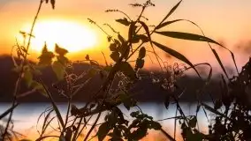 Zachód Słońca nad jeziorem Dobskim, listopad 2020 - zdjęcie 49