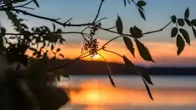 Zachód Słońca nad jeziorem Dobskim, listopad 2020 - zdjęcie 61