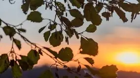 Zachód Słońca nad jeziorem Dobskim, listopad 2020 - zdjęcie 50