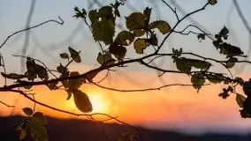 Zachód Słońca nad jeziorem Dobskim, listopad 2020 - zdjęcie 52