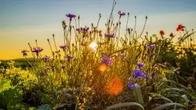 Zachód słońca niedaleko Lipowego Dworu - zdjęcie 17