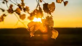 Zachód słońca niedaleko Lipowego Dworu - zdjęcie 29