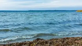 Późno jesienne klimaty gdy wieje i chłód doskwiera przy jeziorze Dargin - zdjęcie 21