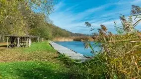 Późno jesienne klimaty gdy wieje i chłód doskwiera przy jeziorze Dargin - zdjęcie 20