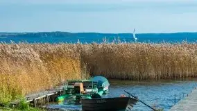 Późno jesienne klimaty gdy wieje i chłód doskwiera przy jeziorze Dargin - zdjęcie 23