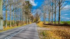 Piękna mazurska złota jesień, listopad 2019 - zdjęcie 11