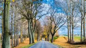 Piękna mazurska złota jesień, listopad 2019 - zdjęcie 21