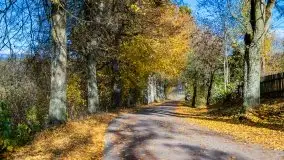 Piękna mazurska złota jesień, listopad 2019 - zdjęcie 17