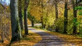 Piękna mazurska złota jesień, listopad 2019 - zdjęcie 46