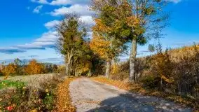 Piękna mazurska złota jesień, listopad 2019 - zdjęcie 43