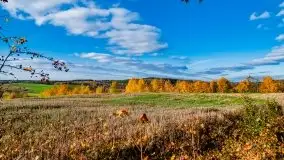 Piękna mazurska złota jesień, listopad 2019 - zdjęcie 42