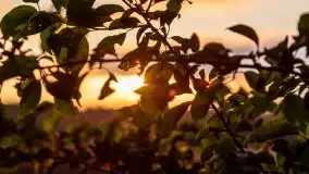 Jesień w okolicach jeziora Okrągłe, listopad 2020 - zdjęcie 11