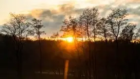 Jesień w okolicach jeziora Okrągłe, listopad 2020 - zdjęcie 23