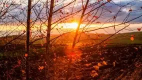 Jesień w okolicach jeziora Okrągłe, listopad 2020 - zdjęcie 14