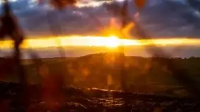 Jesień w okolicach jeziora Okrągłe, listopad 2020 - zdjęcie 12