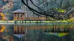 Las miejski w Giżycku, listopad 2020 r. - zdjęcie 2