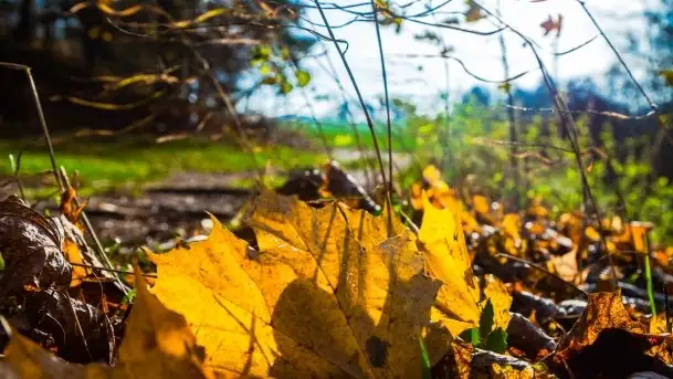 Jesienne Mazury, okolice jezior Niegocin i wojnowo - zdjęcie 7