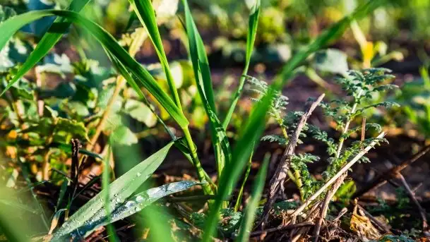Jesienne Mazury, okolice jezior Niegocin i wojnowo - zdjęcie 3