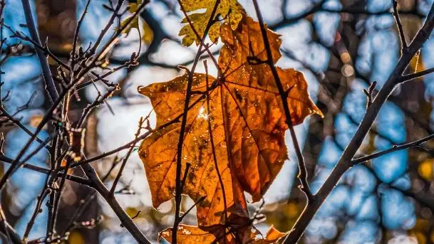 Jesienne Mazury, okolice jezior Niegocin i wojnowo