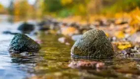 Jesienne Mazury na zdjęciach Staszka Sielewicza - zdjęcie 4