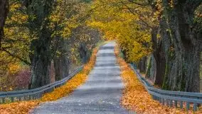 Jesienne Mazury na zdjęciach Staszka Sielewicza - zdjęcie 36